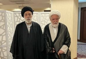 دیدار دبیرکل مجمع نیروهای خط امام(ره) با مهدی کروبی